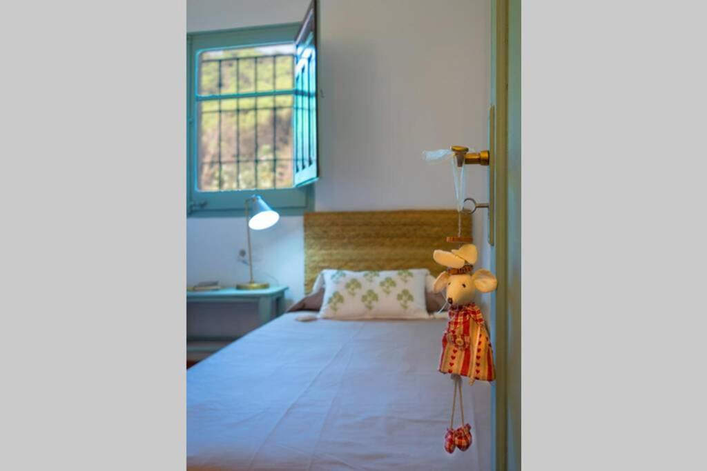 Casa Rural Mas Del Gall - Casa Nova, Barcelona Villa Tordera Bagian luar foto